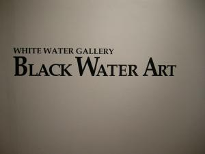Black Water Art Opening Night